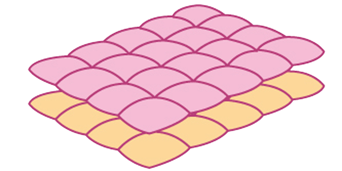 alll seasons quilt